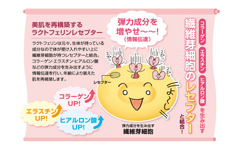 ハリ・弾力が生まれる「LLジェル　モイストアップ」で今日から美活