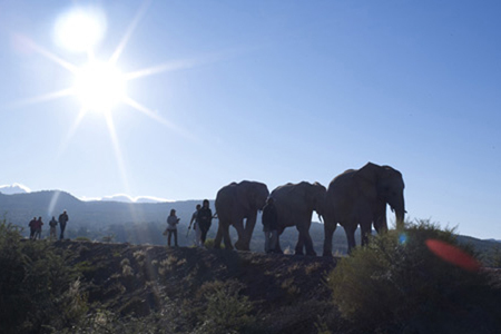 「地球の贈り物に出会う」南アフリカの旅（1）ココロときめく、「リトル・カルー」へようこそ！