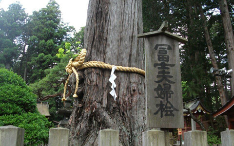 アンリ流・パワースポットの巡り方　「北口本宮冨士浅間神社」