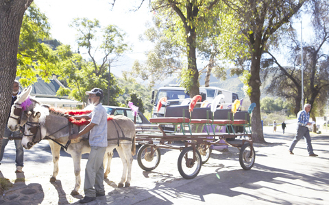 「地球の贈り物に出会う」南アフリカの旅（2） “世界一"　モードなトリに会いに行く！