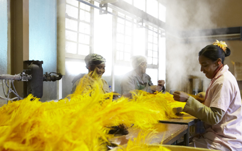 「地球の贈り物に出会う」南アフリカの旅（2） “世界一"　モードなトリに会いに行く！