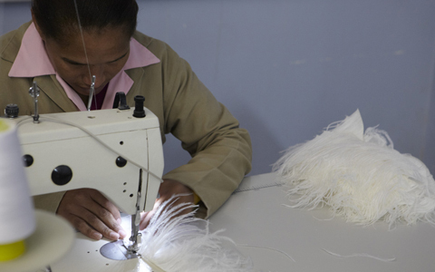 「地球の贈り物に出会う」南アフリカの旅（2） “世界一"　モードなトリに会いに行く！