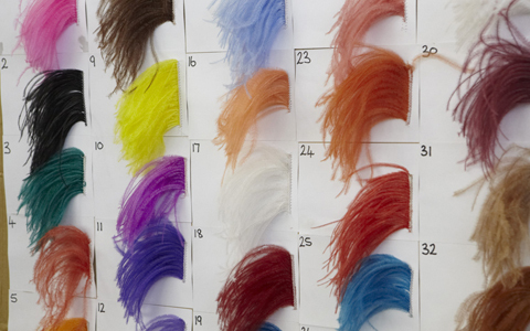 「地球の贈り物に出会う」南アフリカの旅（2） “世界一"　モードなトリに会いに行く！