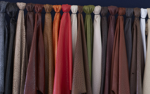 「地球の贈り物に出会う」南アフリカの旅（2） “世界一"　モードなトリに会いに行く！