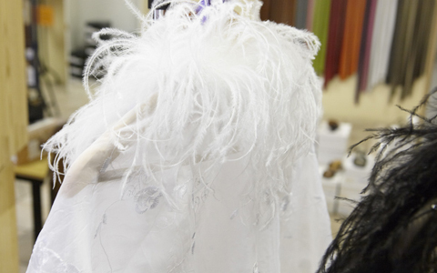 「地球の贈り物に出会う」南アフリカの旅（2） “世界一"　モードなトリに会いに行く！