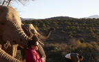 「地球の贈り物に出会う」南アフリカの旅（3） 動物たちとグッドモーニング！