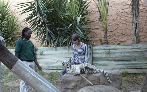 「地球の贈り物に出会う」南アフリカの旅（3） 動物たちとグッドモーニング！