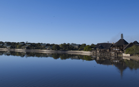 「地球の贈り物に出会う」南アフリカの旅（3） 動物たちとグッドモーニング！