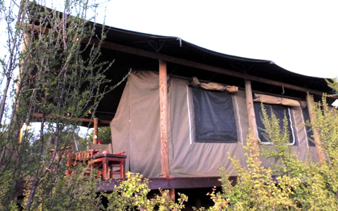 「地球の贈り物に出会う」南アフリカの旅（3） 動物たちとグッドモーニング！