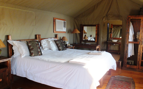 「地球の贈り物に出会う」南アフリカの旅（3） 動物たちとグッドモーニング！