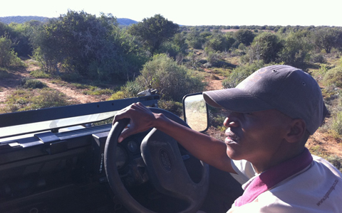 「地球の贈り物に出会う」南アフリカの旅（3） 動物たちとグッドモーニング！