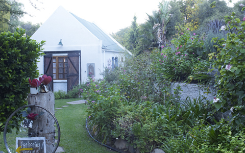 「地球の贈り物に出会う」南アフリカの旅（4）  ハートフルな美味しいおもてなしとの出会い