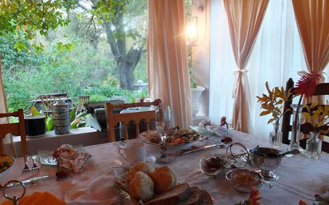 「地球の贈り物に出会う」南アフリカの旅（4）  ハートフルな美味しいおもてなしとの出会い