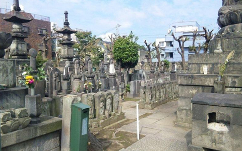 アンリ流・パワースポットの巡り方「夏の谷中で恋愛アゲ！必須の浄明院参り」