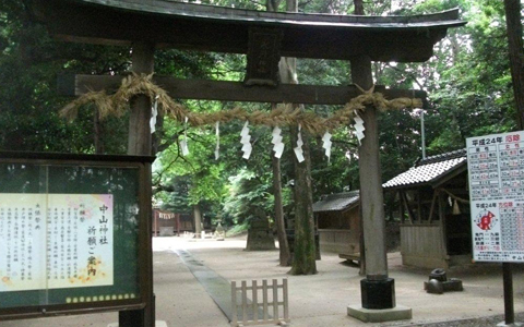 アンリ流・パワースポットの巡り方「夏の谷中で恋愛アゲ！必須の浄明院参り」