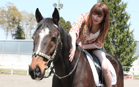 【プレゼントあり】夏は朝活！夕活！乗馬で健康的なモテボディを作ろう♪