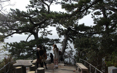 アンリ流パワースポットの廻り方　 「パラダイスアイランド愛知県蒲郡・竹島でパワーチャージ」