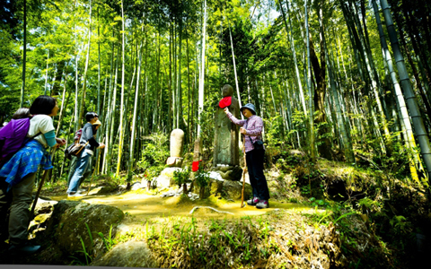 【宿泊券プレゼントあり】美肌の湯にも入れる体験型リゾート宿って？