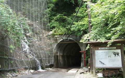 アンリ流パワースポットの廻り方「命がけの恋愛祈願と美人湯で美肌成就！寸又峡」