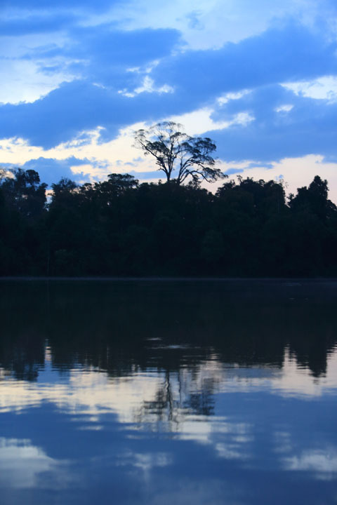 「ボルネオ」探検に行ってきた！～「植村花菜がボルネオの魅力を教えます！」　その１