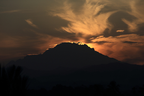 「ボルネオ」探検に行ってきた！～「植村花菜がボルネオの魅力を教えます！」　その１