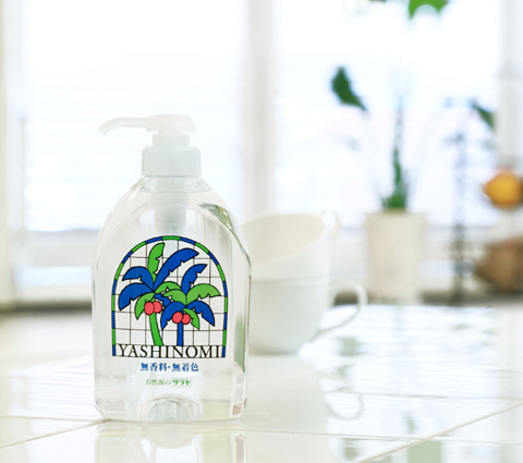 「ボルネオ」探検に行ってきた！～「植村花菜がボルネオの魅力を教えます！」　その１