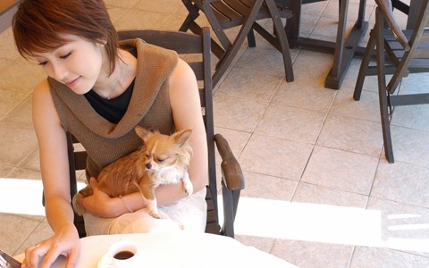 文化の香り漂うBRUTUS読者男性へのアプローチ法はこれだ！