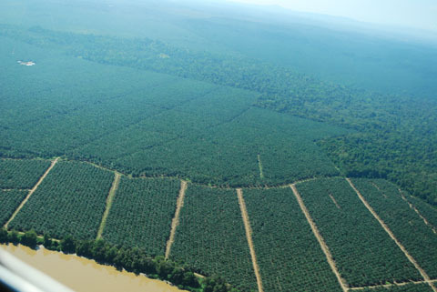 「ボルネオ」探検に行ってきた！～「植村花菜がボルネオの魅力を教えます！」　その２