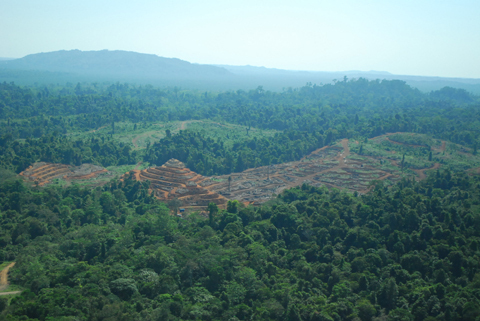 「ボルネオ」探検に行ってきた！～「植村花菜がボルネオの魅力を教えます！」　その２