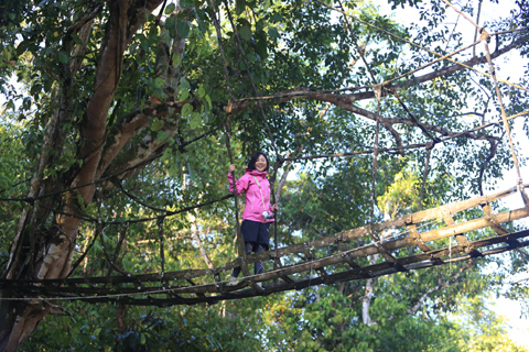 「ボルネオ」探検に行ってきた！～「植村花菜がボルネオの魅力を教えます！」　その２