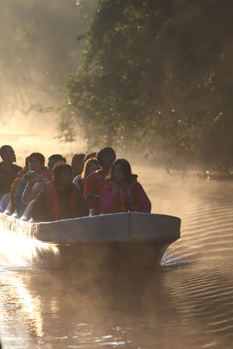 「ボルネオ」探検に行ってきた！～「植村花菜がボルネオの魅力を教えます！」　その２
