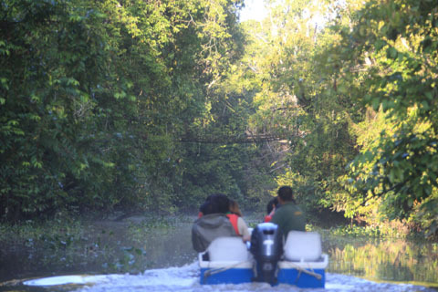 「ボルネオ」探検に行ってきた！～「植村花菜がボルネオの魅力を教えます！」　その２