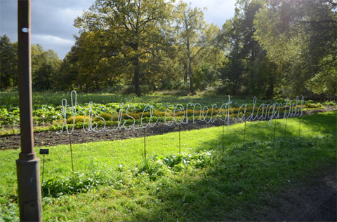 スウェーデンの女子旅！ストックホルムのおすすめスポット　～ショッピング編