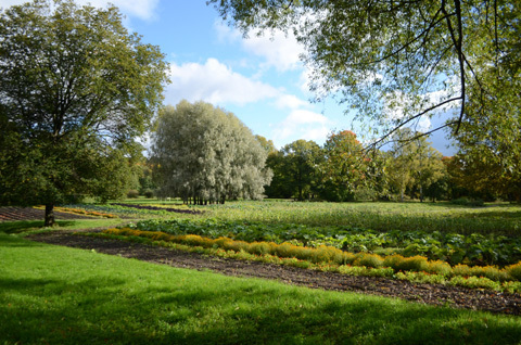 スウェーデンの女子旅！ストックホルムのおすすめスポット　～ショッピング編