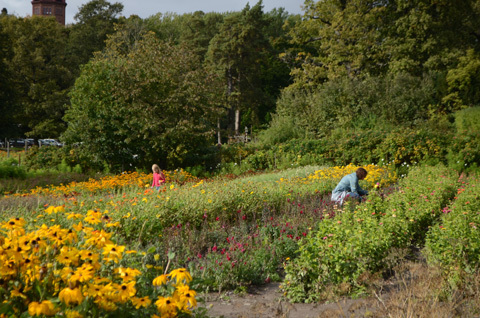 スウェーデンの女子旅！ストックホルムのおすすめスポット　～ショッピング編