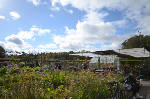 スウェーデンの女子旅！ストックホルムのおすすめスポット　～ショッピング編