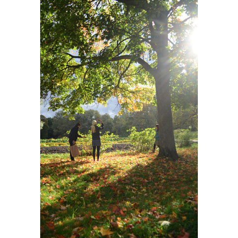 スウェーデンの女子旅！ストックホルムのおすすめスポット　～ショッピング編