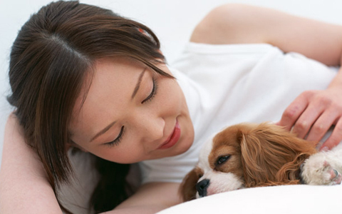 彼が欲しいならネコ派がいい！　イヌ派はなぜ結婚が遠のく？