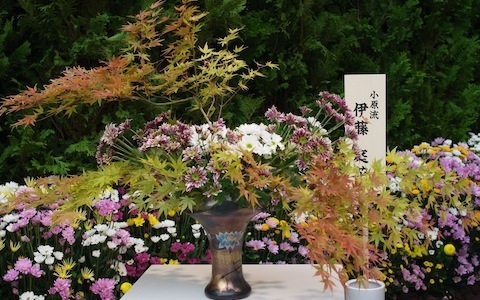 毎日異なる作品がお目見え！ 銀座ソニービル屋外で14人の「いけばな作家」がデモンストレーション