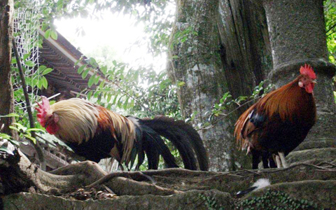 アンリ流パワースポットの廻り方、日本最古の石上神宮で開運&パワーチャージ