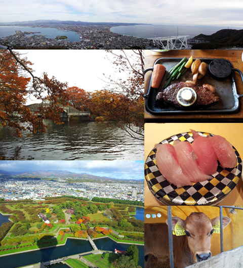 函館の100万ドルの夜景と自然を満喫！　女子旅に欠かせないアイツとは？