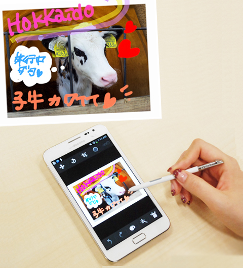 函館の100万ドルの夜景と自然を満喫！　女子旅に欠かせないアイツとは？