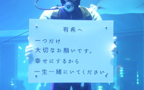 かわいいイルカやペンギンたちと楽しむ、海の中のクリスマス