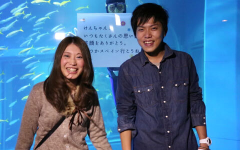 かわいいイルカやペンギンたちと楽しむ、海の中のクリスマス