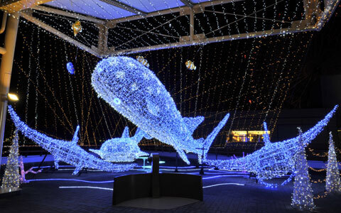 かわいいイルカやペンギンたちと楽しむ、海の中のクリスマス