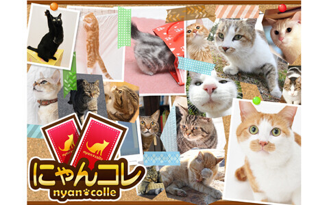 ネコ好き必見！ 実写のネコを使った新しいカードゲームが登場
