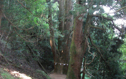 アンリ流パワースポットの廻り方「カップル成就の起源、多賀大社でラブ運を願う」