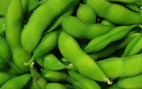 飲み会ラッシュ！二日酔いナシで乗り越える秘訣