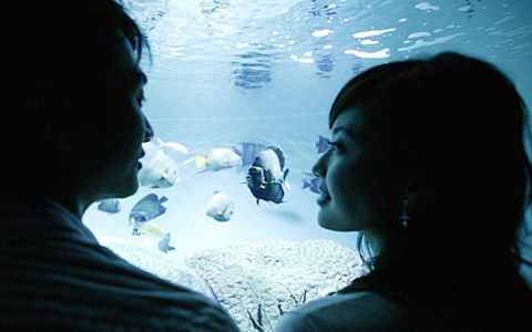 共感できる？ デート前に彼にイライラ。あなたがやりたいことって？