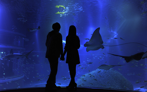 恋する大人が使いたい、バレンタイン大作戦とは？